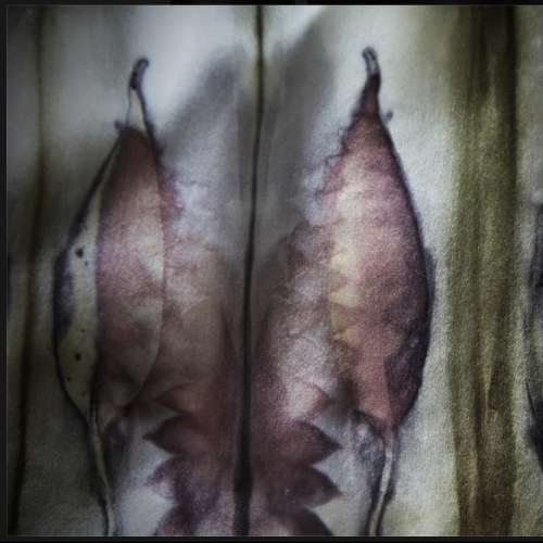 Leaf Imprints on Raw Silk